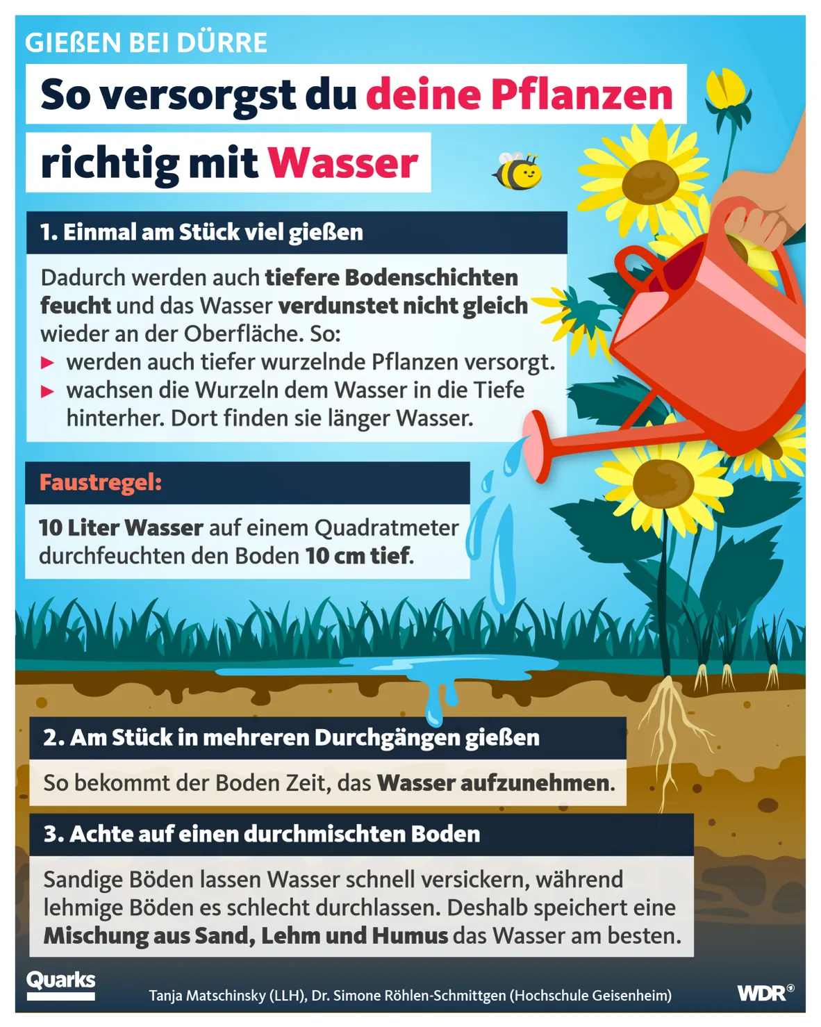 quarks infographic dry soils watering